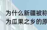 为什么新疆被称为瓜果之乡 新疆被称为瓜果之乡的原因