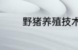 野猪养殖技术 野猪养殖技巧