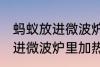 蚂蚁放进微波炉里加热会死吗 蚂蚁放进微波炉里加热会不会死