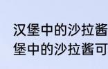 汉堡中的沙拉酱可以用炼乳代替吗 汉堡中的沙拉酱可不可以用炼乳代替