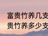 富贵竹养几支最旺运办公室 办公室富贵竹养多少支最旺运