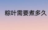 粽叶需要煮多久 粽叶要煮多长时间