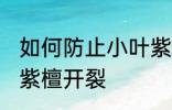 如何防止小叶紫檀开裂 怎样防止小叶紫檀开裂