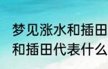 梦见涨水和插田有什么兆头 梦见涨水和插田代表什么