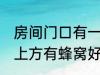 房间门口有一个蜂窝是什么兆头 门口上方有蜂窝好不好