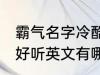 霸气名字冷酷好听英文 霸气名字冷酷好听英文有哪些