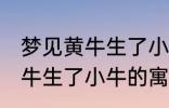 梦见黄牛生了小牛有什么兆头 梦见黄牛生了小牛的寓意是啥