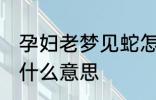 孕妇老梦见蛇怎么回事 孕妇梦见蛇是什么意思