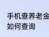 手机查养老金怎么查询 手机查养老金如何查询