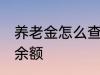 养老金怎么查询余额 养老金如何查询余额