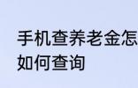 手机查养老金怎么查询 手机查养老金如何查询