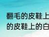 翻毛的皮鞋上的白渍怎么擦干净 翻毛的皮鞋上的白渍如何擦干净