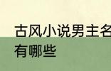 古风小说男主名字 古风小说男主名字有哪些