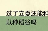 过了立夏还能种稻谷吗 过了立夏还可以种稻谷吗