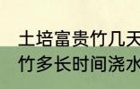 土培富贵竹几天浇一次水啊 土培富贵竹多长时间浇水一次