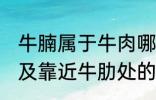 牛腩属于牛肉哪个部位 牛腩即牛腹部及靠近牛肋处的松软肌肉对吗
