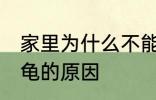 家里为什么不能养乌龟 家里不能养乌龟的原因