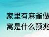 家里有麻雀做窝好不好 家里有麻雀做窝是什么预兆