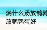 烧什么汤放鹌鹑蛋好一些啊 煮什么汤放鹌鹑蛋好