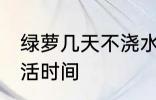 绿萝几天不浇水会死 不浇水的绿萝成活时间