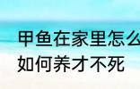 甲鱼在家里怎么养才不死 甲鱼在家里如何养才不死