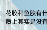 花胶和鱼胶有什么区别 鱼胶和花胶本质上其实是没有区别的对吗