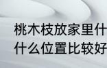 桃木枝放家里什么位置 桃木枝放家里什么位置比较好